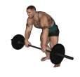 Barbell Row - Rear Delt